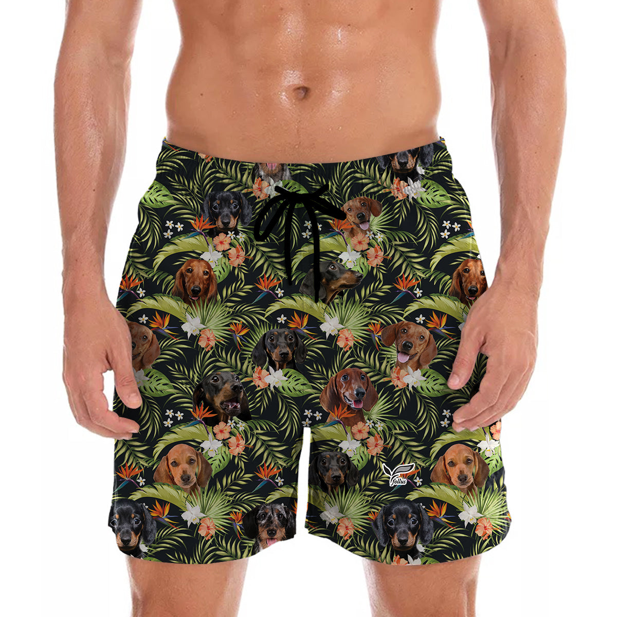 Dachshund - Hawaiian Shorts V7