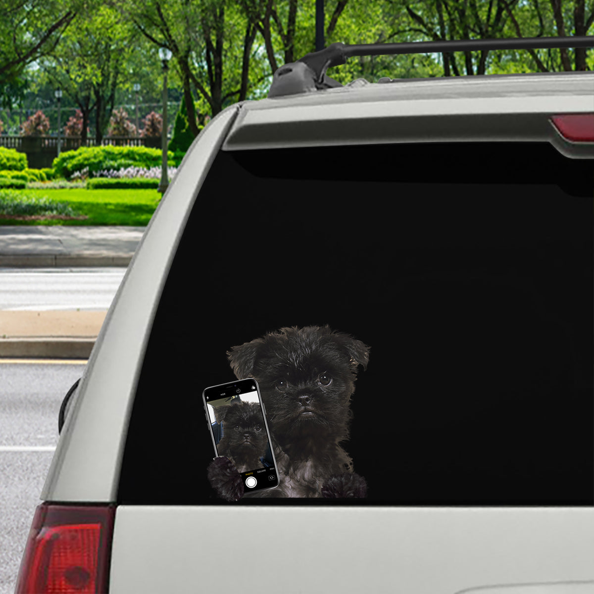 Aimez-vous mon selfie - Affenpinscher Autocollant de voiture/porte/réfrigérateur/ordinateur portable V1