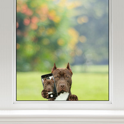 Magst du mein Selfie – American Pit Bull Terrier Auto-/Tür-/Kühlschrank-/Laptop-Aufkleber V1