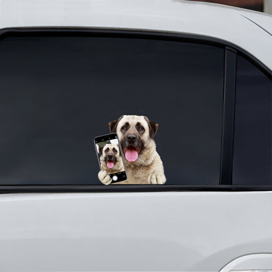 Magst du mein Selfie – anatolischer Schäferhund, Auto-/Tür-/Kühlschrank-/Laptop-Aufkleber V1