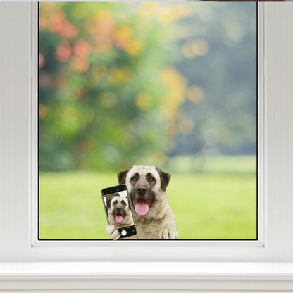 Magst du mein Selfie – anatolischer Schäferhund, Auto-/Tür-/Kühlschrank-/Laptop-Aufkleber V1