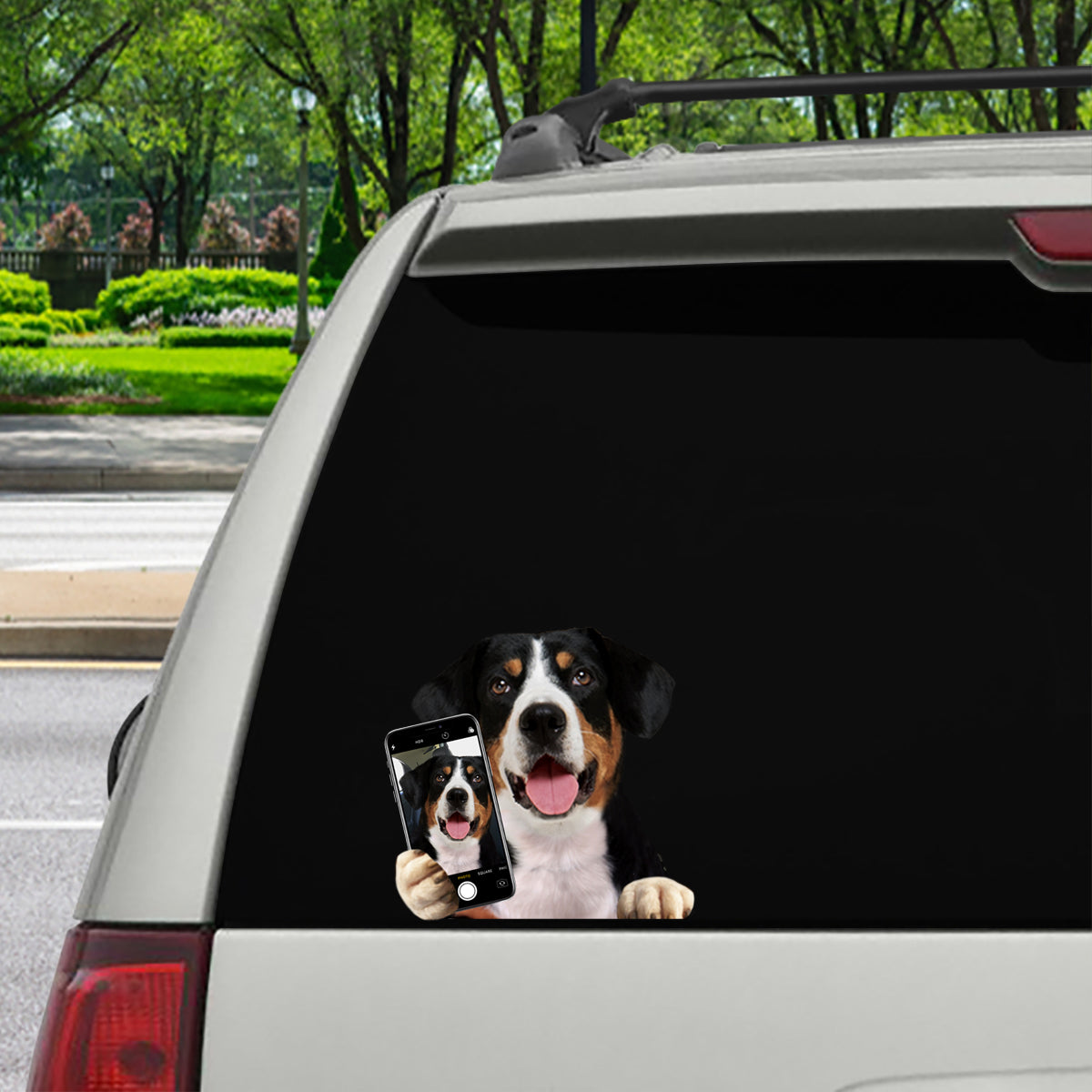 Aimez-vous mon selfie - Appenzeller Sennenhund Autocollant de voiture/porte/réfrigérateur/ordinateur portable V1