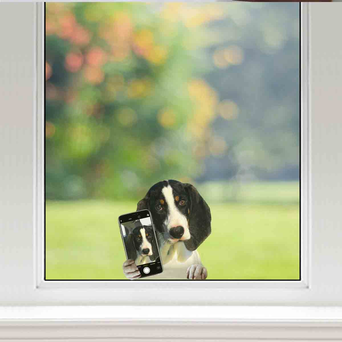 Aimez-vous mon selfie - Autocollant voiture/porte/réfrigérateur/ordinateur portable Ariégeois V1