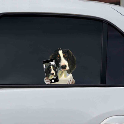 Aimez-vous mon selfie - Autocollant voiture/porte/réfrigérateur/ordinateur portable Ariégeois V1