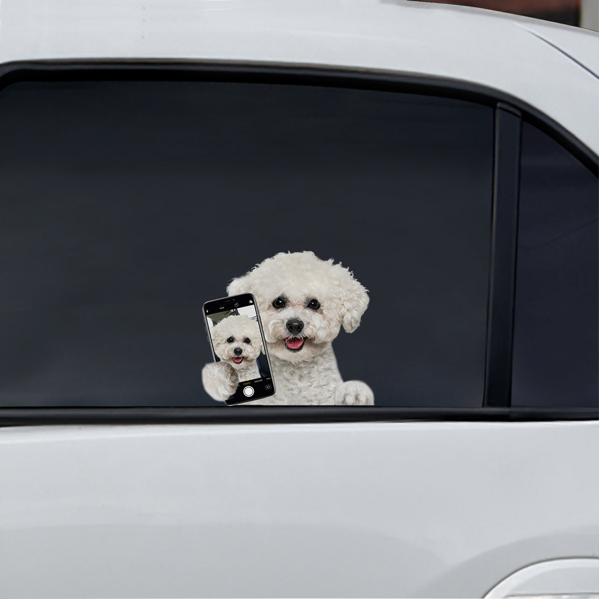 Magst du mein Selfie – Bichon Frise Auto-/Tür-/Kühlschrank-/Laptop-Aufkleber V1