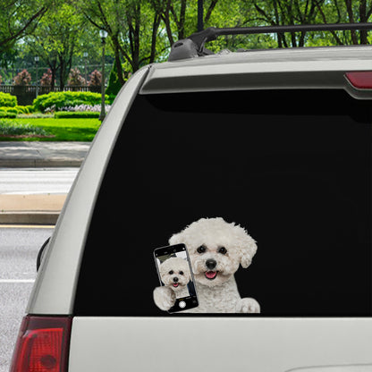 Do You Like My Selfie - Bichon Frise Car/ Door/ Fridge/ Laptop Sticker V1