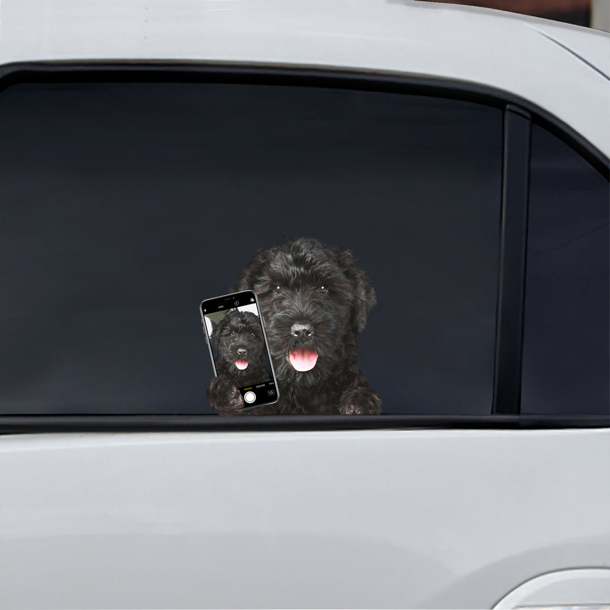 Magst du mein Selfie – Schwarzer Russischer Terrier Auto-/Tür-/Kühlschrank-/Laptop-Aufkleber V1