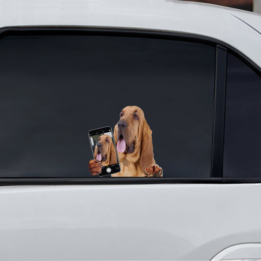 Aimez-vous mon selfie - Bloodhound Autocollant voiture/porte/réfrigérateur/ordinateur portable V1