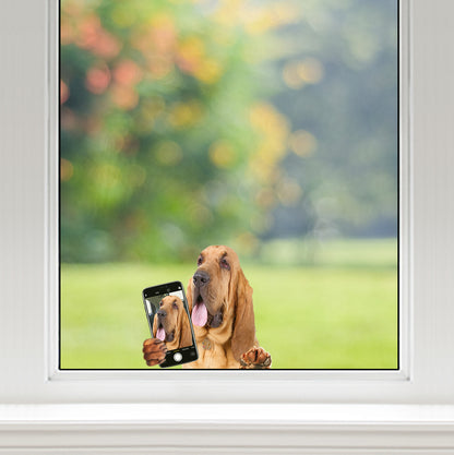 Aimez-vous mon selfie - Bloodhound Autocollant voiture/porte/réfrigérateur/ordinateur portable V1