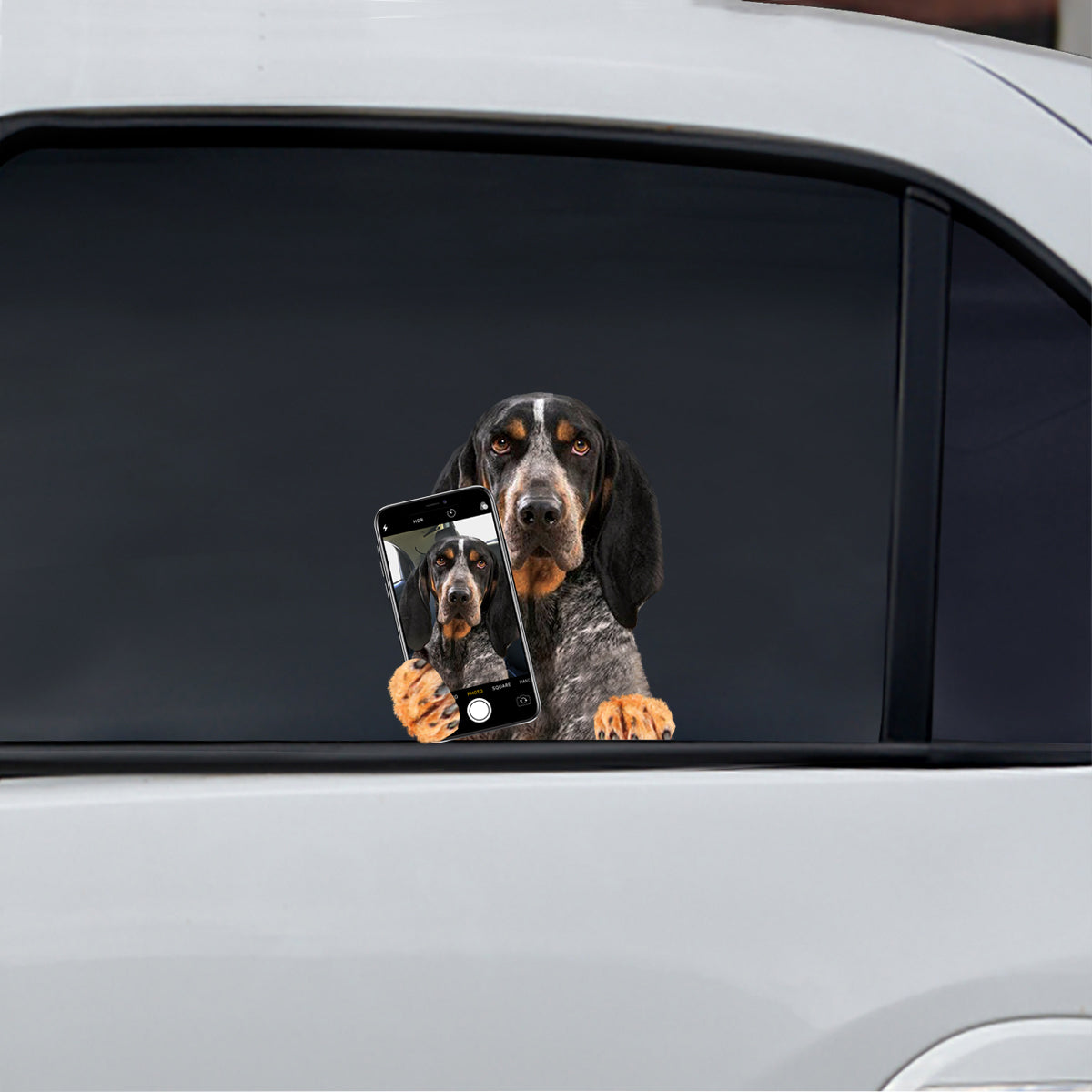 Do You Like My Selfie – Bluetick Coonhound Auto-/Tür-/Kühlschrank-/Laptop-Aufkleber V1