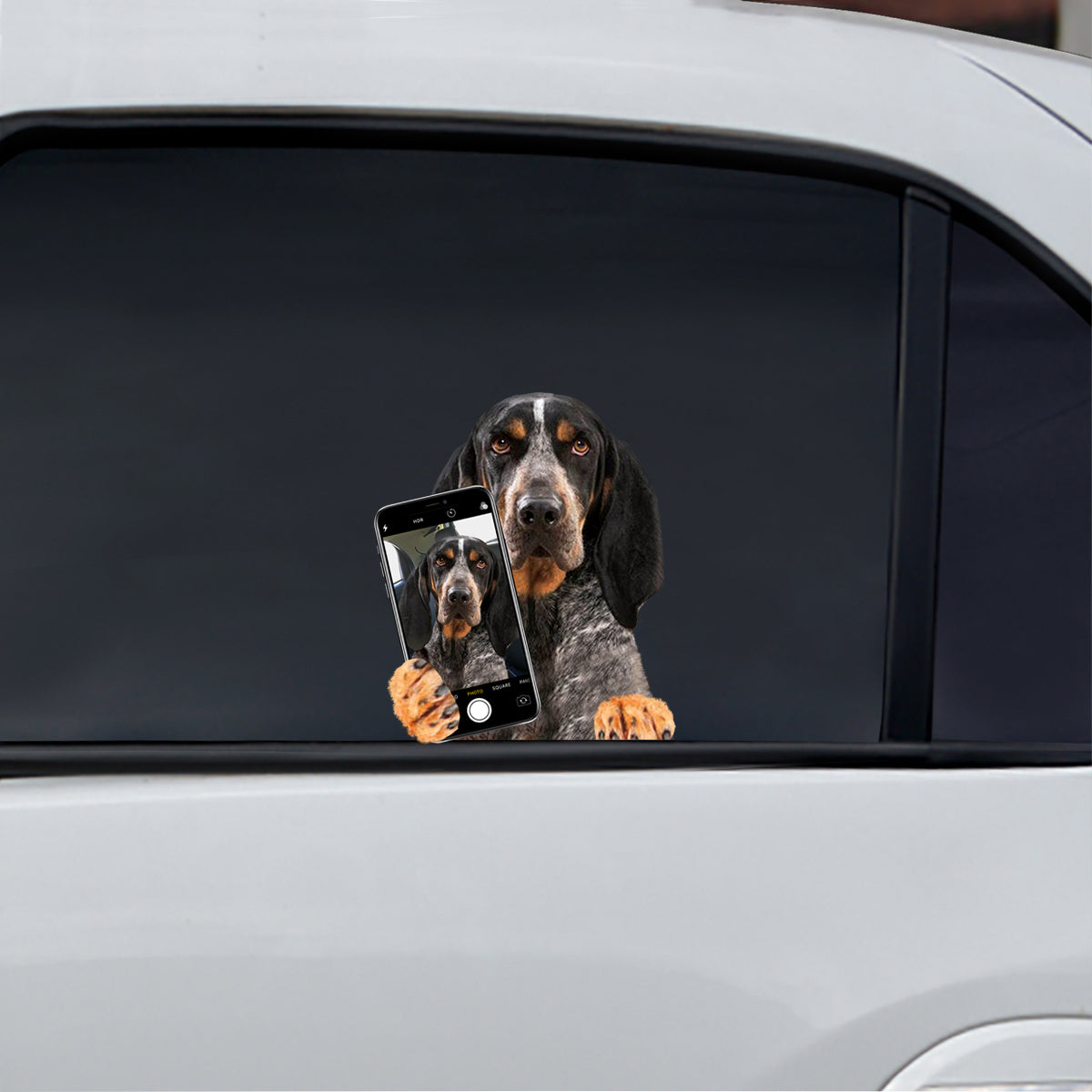 Do You Like My Selfie - Bluetick Coonhound Car/ Door/ Fridge/ Laptop Sticker V1