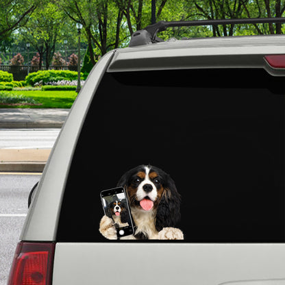 Aimez-vous mon selfie - Cavalier King Charles Spaniel Autocollant de voiture/porte/réfrigérateur/ordinateur portable V1