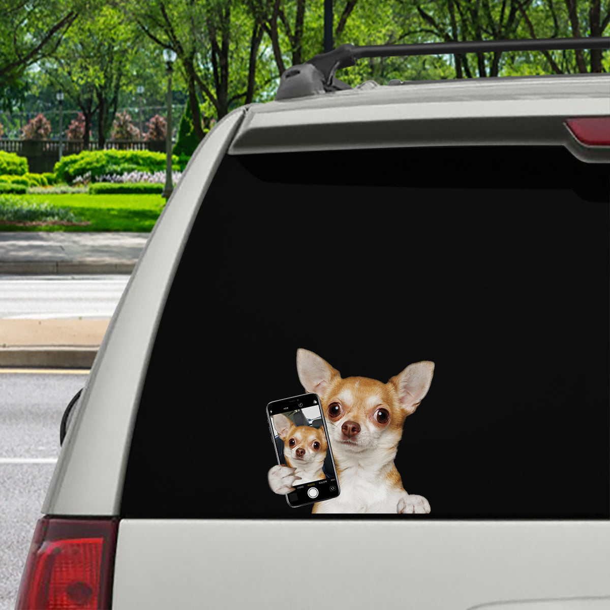 Aimez-vous mon selfie - Autocollant Chihuahua pour voiture/porte/réfrigérateur/ordinateur portable V1