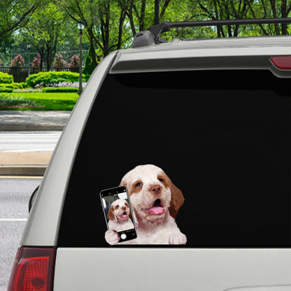 Aimez-vous mon selfie - Autocollant de voiture/porte/réfrigérateur/ordinateur portable Clumber Spaniel V1
