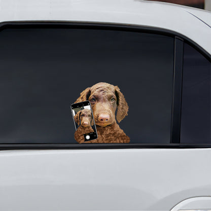 Do You Like My Selfie - Curly Coated Retriever Car/ Door/ Fridge/ Laptop Sticker V1