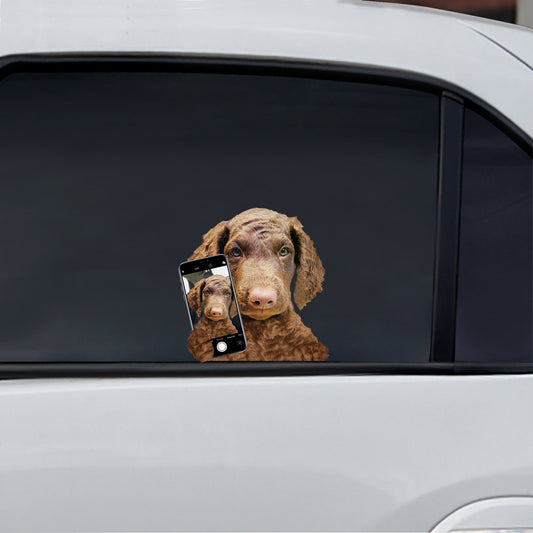 Aimez-vous mon selfie - Autocollant de voiture/porte/réfrigérateur/ordinateur portable Curly Coated Retriever V1