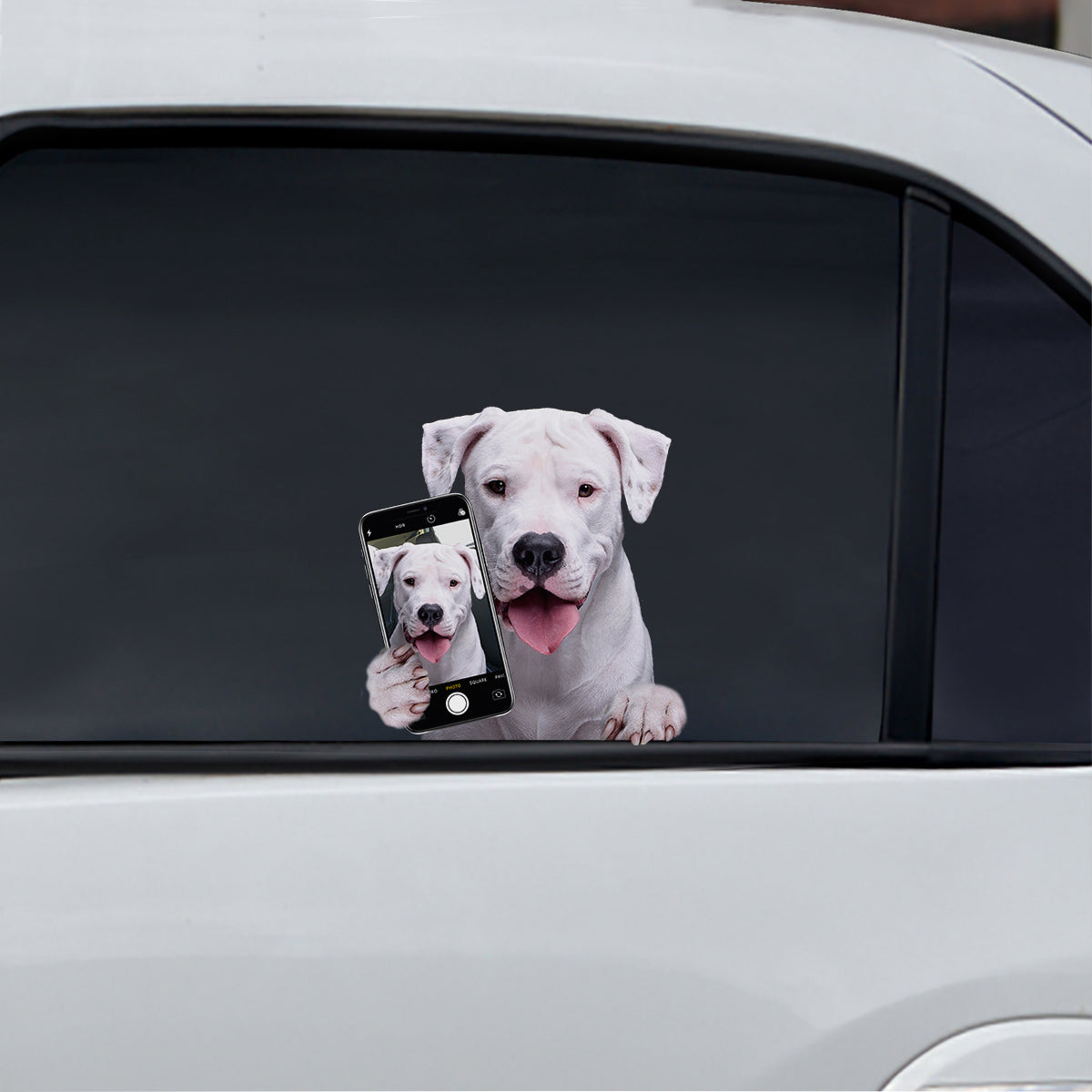 Aimez-vous mon selfie - Dogo Argentino Autocollant de voiture/porte/réfrigérateur/ordinateur portable V1