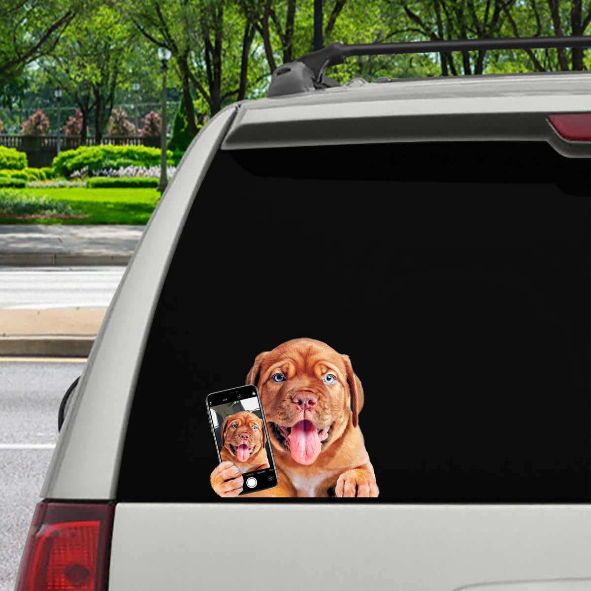 Aimez-vous mon selfie - Dogue De Bordeaux Autocollant voiture/porte/réfrigérateur/ordinateur portable V1