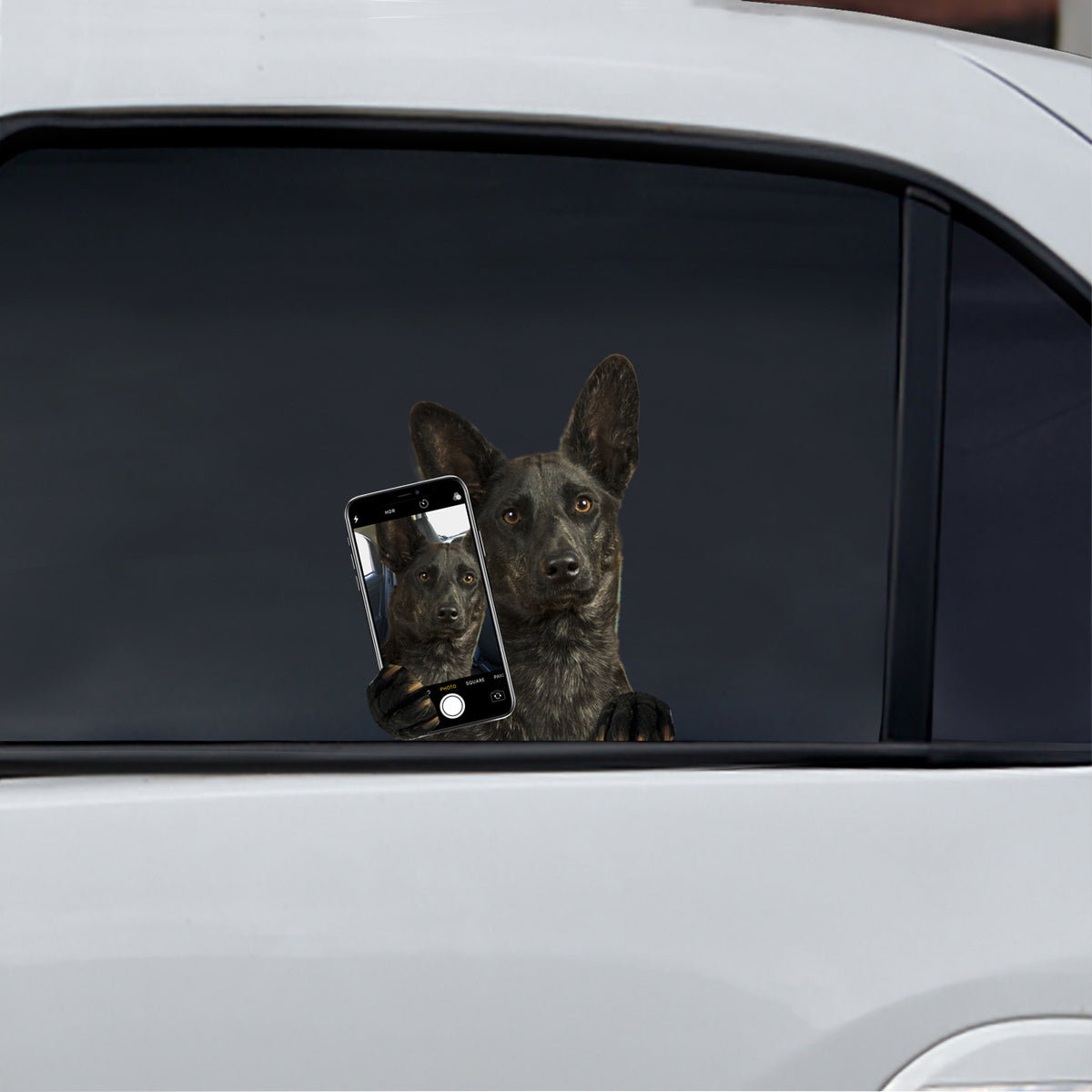 Magst du mein Selfie – Holländischer Schäferhund-Aufkleber für Auto/Tür/Kühlschrank/Laptop V1