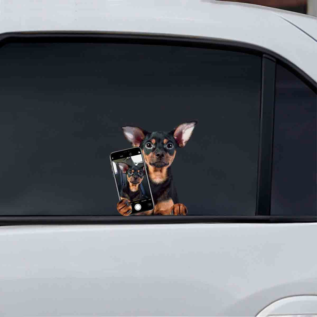 Aimez-vous mon selfie - Autocollant anglais Toy Terrier pour voiture/porte/réfrigérateur/ordinateur portable V1