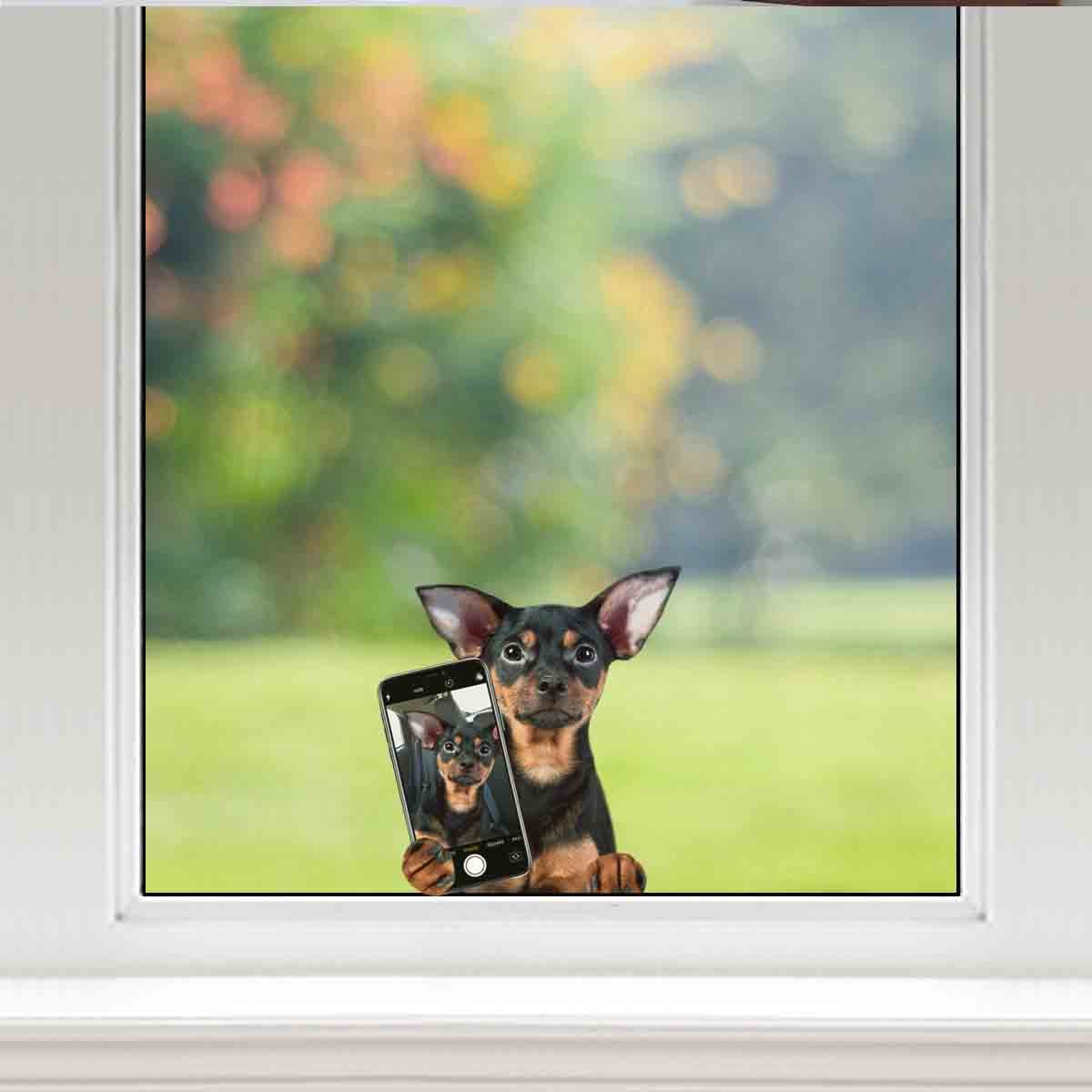 Aimez-vous mon selfie - Autocollant anglais Toy Terrier pour voiture/porte/réfrigérateur/ordinateur portable V1