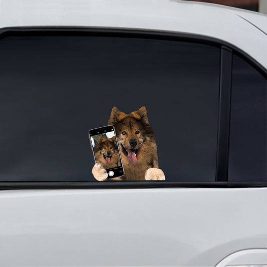 Do You Like My Selfie - Eurasier Car/ Door/ Fridge/ Laptop Sticker V1