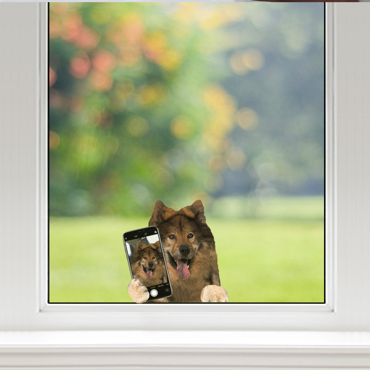 Do You Like My Selfie - Eurasier Car/ Door/ Fridge/ Laptop Sticker V1