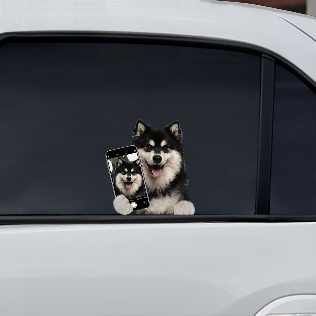 Do You Like My Selfie - Finnish Lapphund Car/ Door/ Fridge/ Laptop Sticker V1