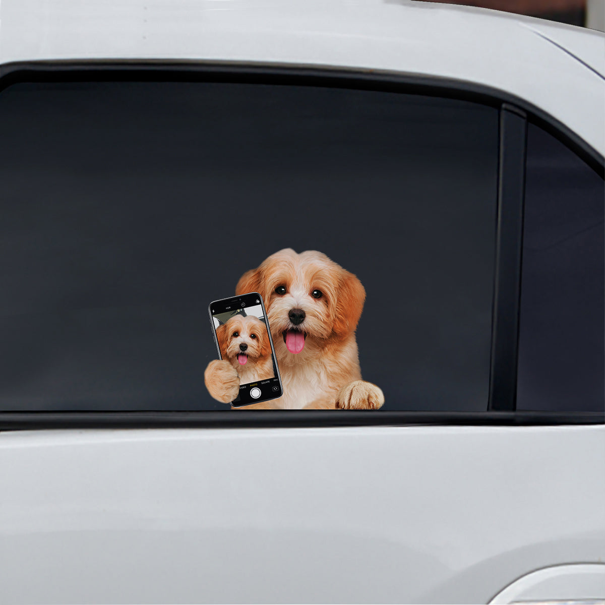 Do You Like My Selfie - Havanese Car/ Door/ Fridge/ Laptop Sticker V2