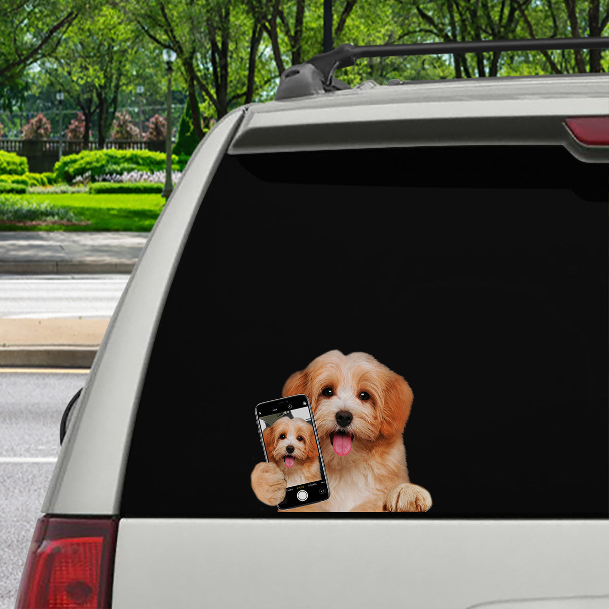 Do You Like My Selfie - Havanese Car/ Door/ Fridge/ Laptop Sticker V2