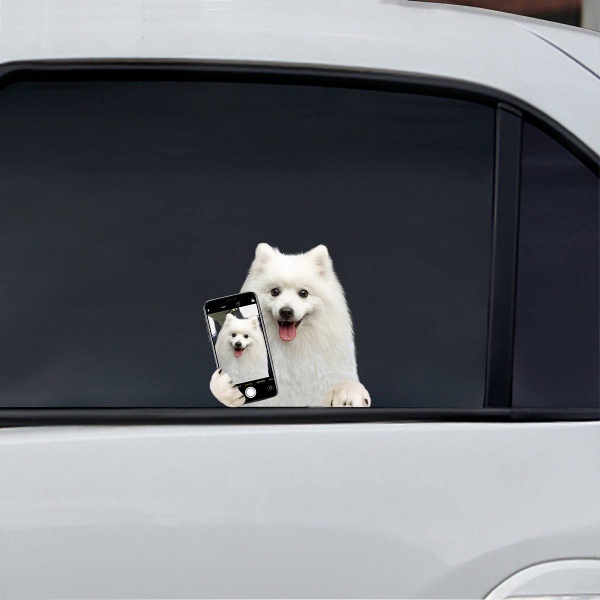 Aimez-vous mon selfie - Autocollant de voiture/porte/réfrigérateur/ordinateur portable Spitz japonais V1