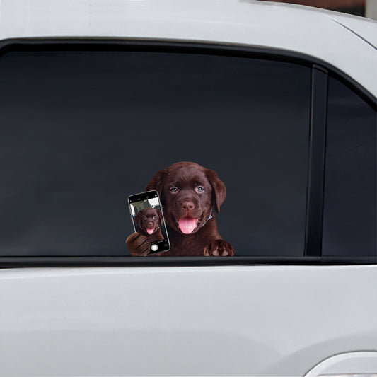 Do You Like My Selfie - Labrador Car/ Door/ Fridge/ Laptop Sticker V1