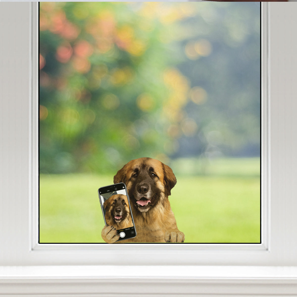 Do You Like My Selfie - Leonberger Car/ Door/ Fridge/ Laptop Sticker V1