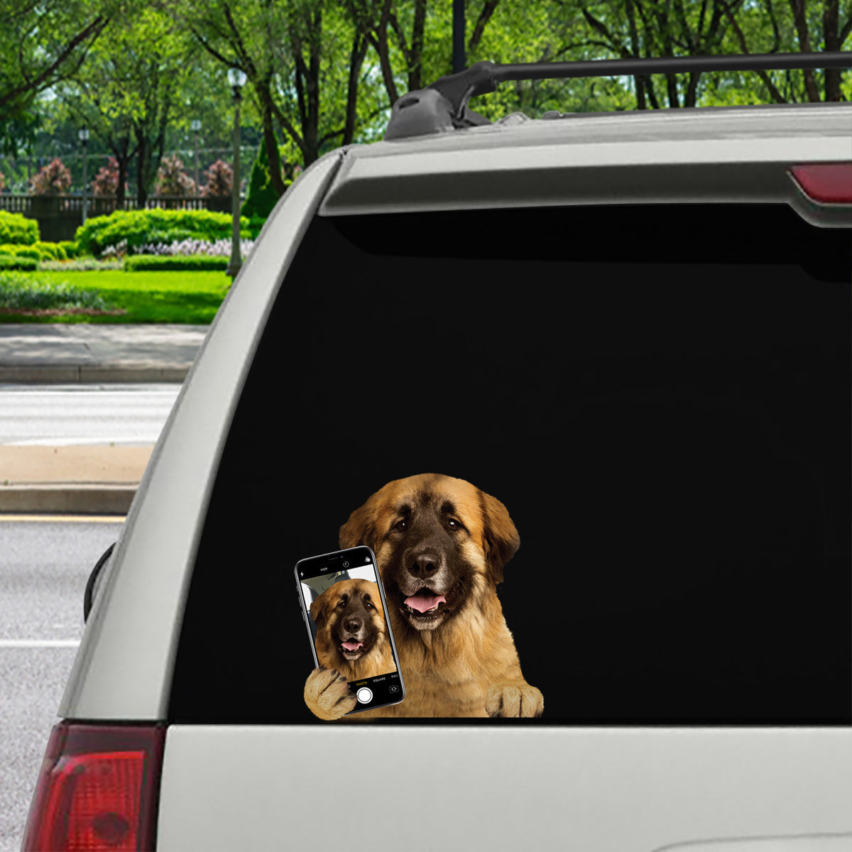 Aimez-vous mon selfie - Autocollant de voiture/porte/réfrigérateur/ordinateur portable Leonberger V1