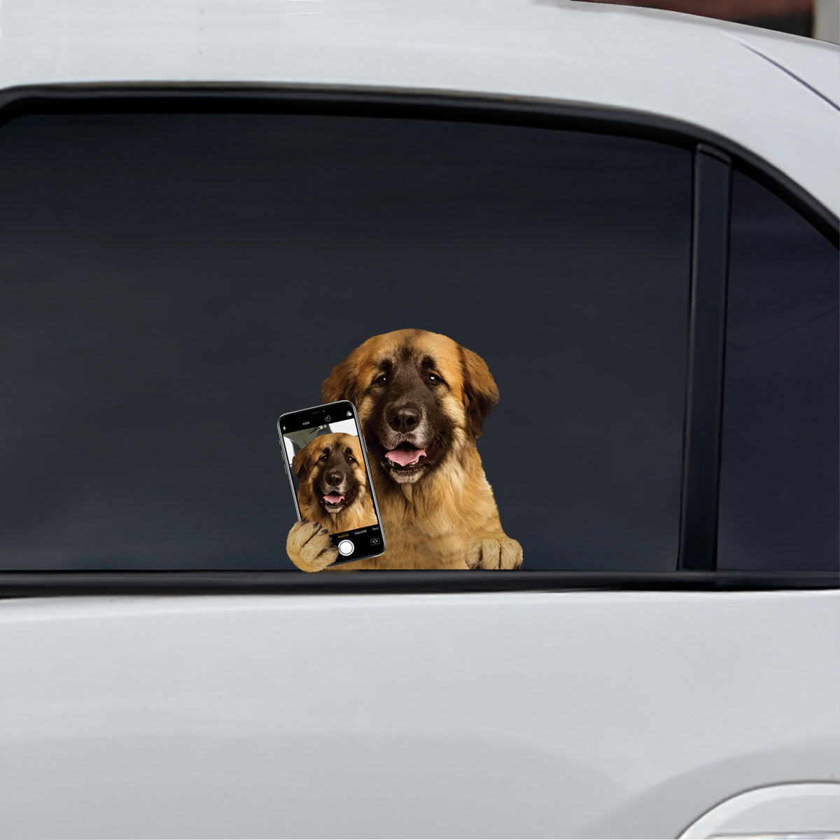 Magst du mein Selfie - Leonberger Auto-/Tür-/Kühlschrank-/Laptop-Aufkleber V1