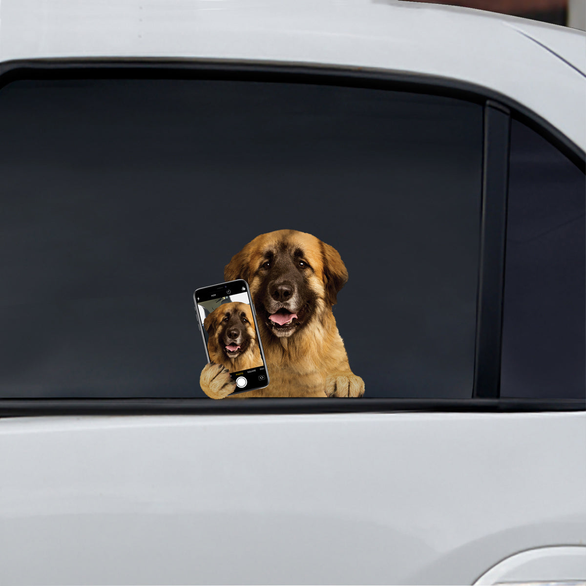 Aimez-vous mon selfie - Autocollant de voiture/porte/réfrigérateur/ordinateur portable Leonberger V1