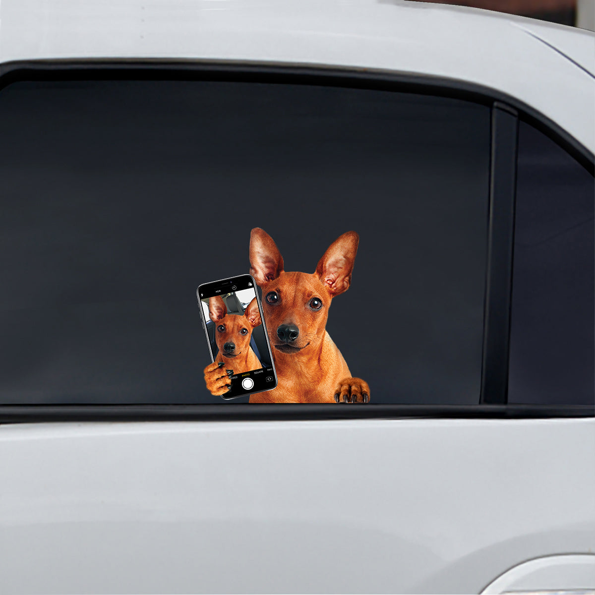 Do You Like My Selfie - Miniature Pinscher Car/ Door/ Fridge/ Laptop Sticker V1