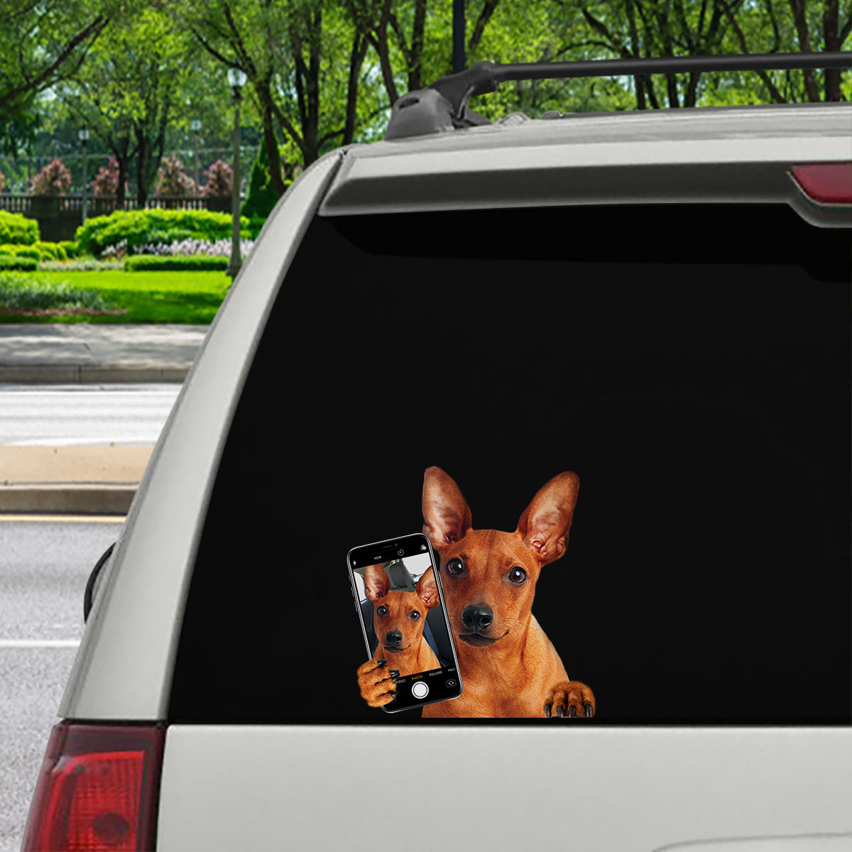 Do You Like My Selfie - Miniature Pinscher Car/ Door/ Fridge/ Laptop Sticker V1