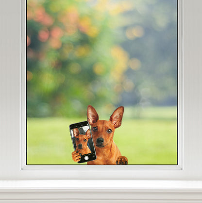 Do You Like My Selfie - Miniature Pinscher Car/ Door/ Fridge/ Laptop Sticker V1