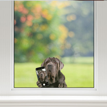 Aimez-vous mon selfie - Autocollant de voiture/porte/réfrigérateur/ordinateur portable Dogue napolitain V1