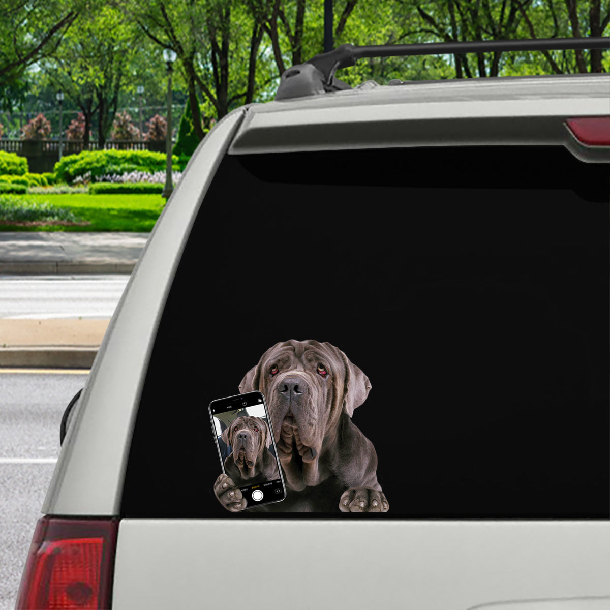 Aimez-vous mon selfie - Autocollant de voiture/porte/réfrigérateur/ordinateur portable Dogue napolitain V1