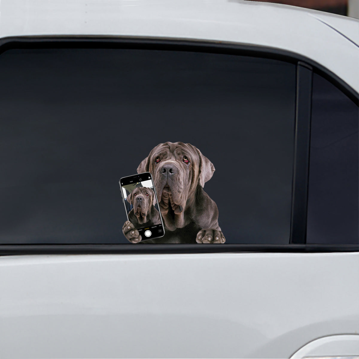 Aimez-vous mon selfie - Autocollant de voiture/porte/réfrigérateur/ordinateur portable Dogue napolitain V1