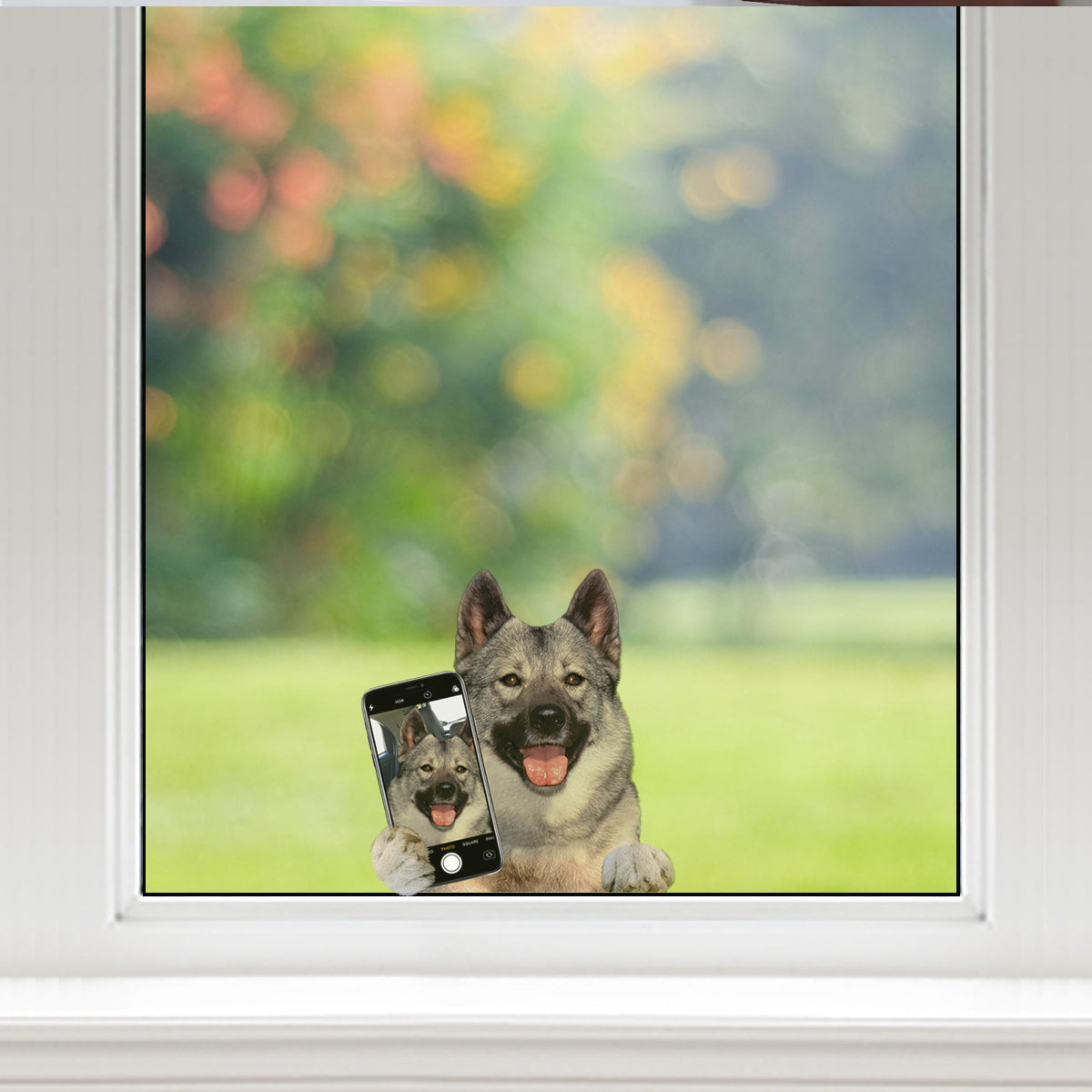Do You Like My Selfie – Norwegischer Elchhund-Aufkleber für Auto/Tür/Kühlschrank/Laptop V1
