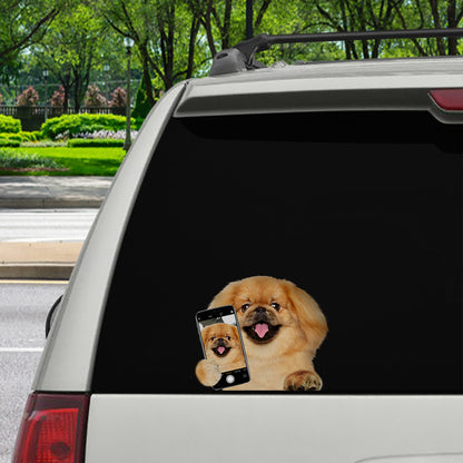 Do You Like My Selfie - Pekingese Car/ Door/ Fridge/ Laptop Sticker V1