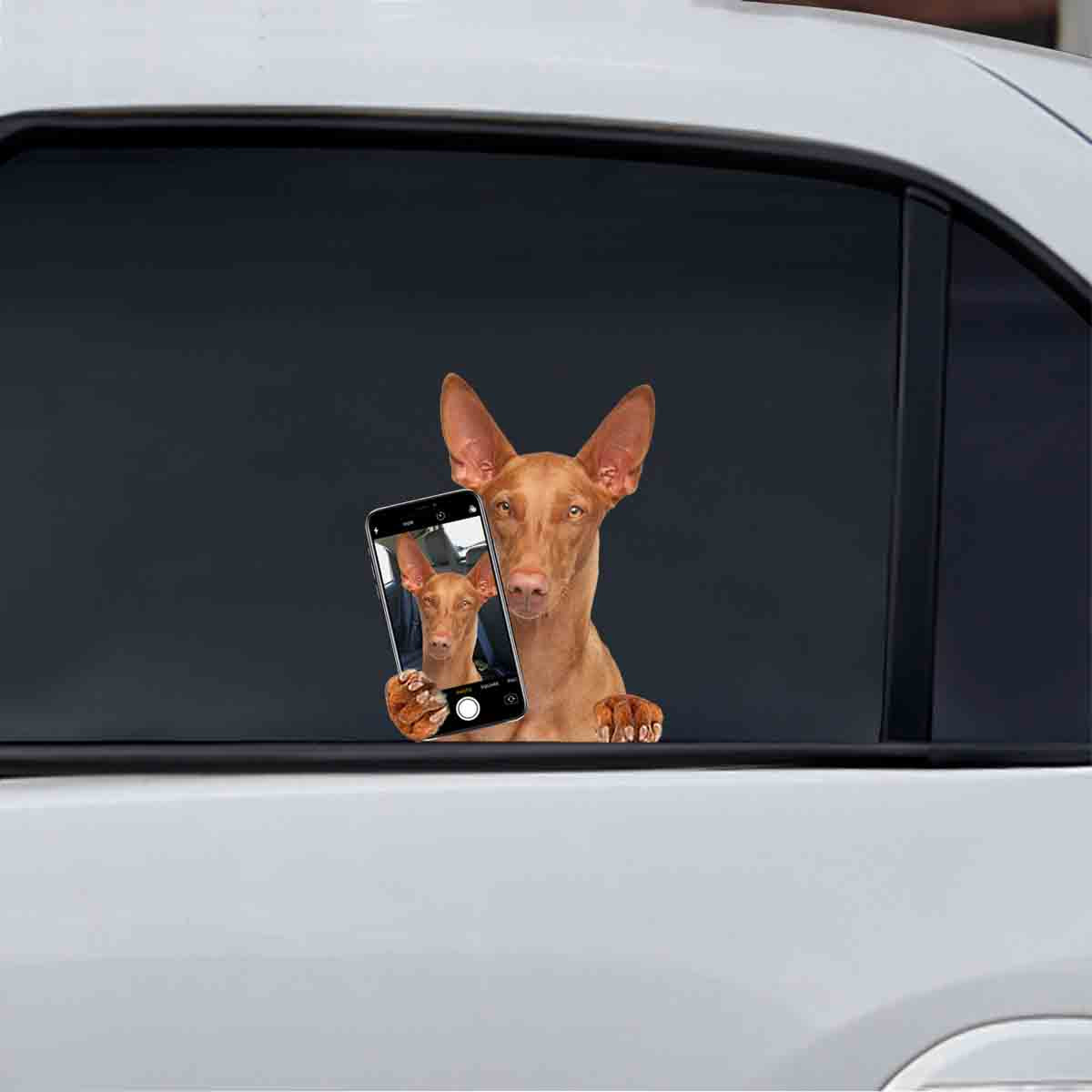 Do You Like My Selfie – Pharaoh Hound Auto-/Tür-/Kühlschrank-/Laptop-Aufkleber V1