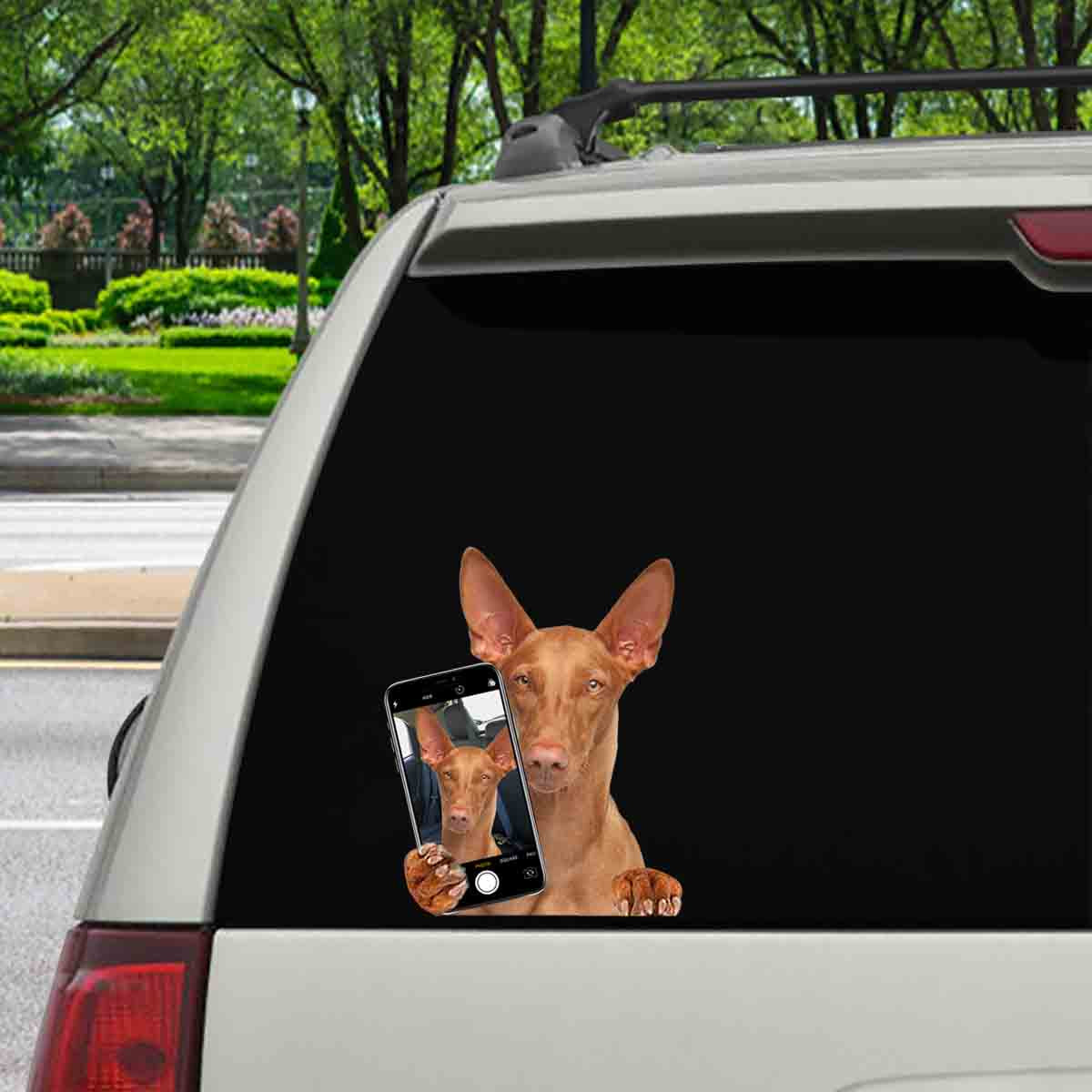 Do You Like My Selfie - Pharaoh Hound Car/ Door/ Fridge/ Laptop Sticker V1