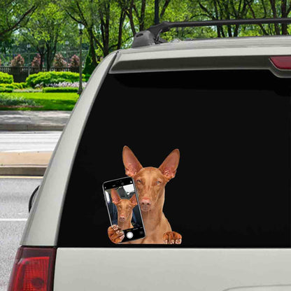 Do You Like My Selfie – Pharaoh Hound Auto-/Tür-/Kühlschrank-/Laptop-Aufkleber V1