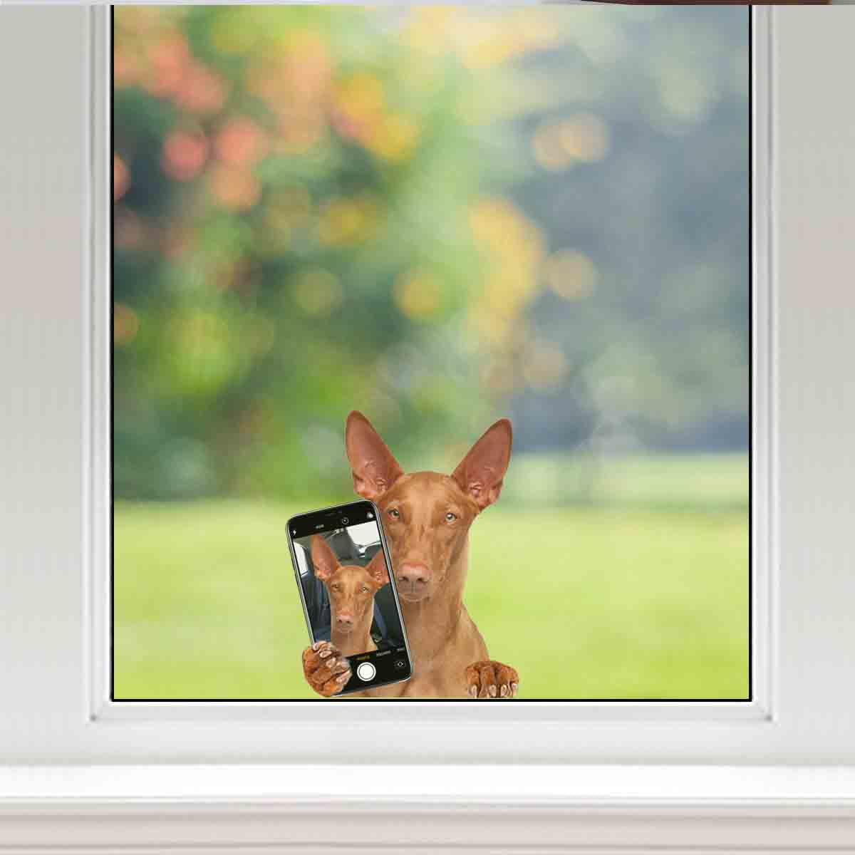 Aimez-vous mon selfie - Pharaoh Hound Autocollant de voiture/porte/réfrigérateur/ordinateur portable V1