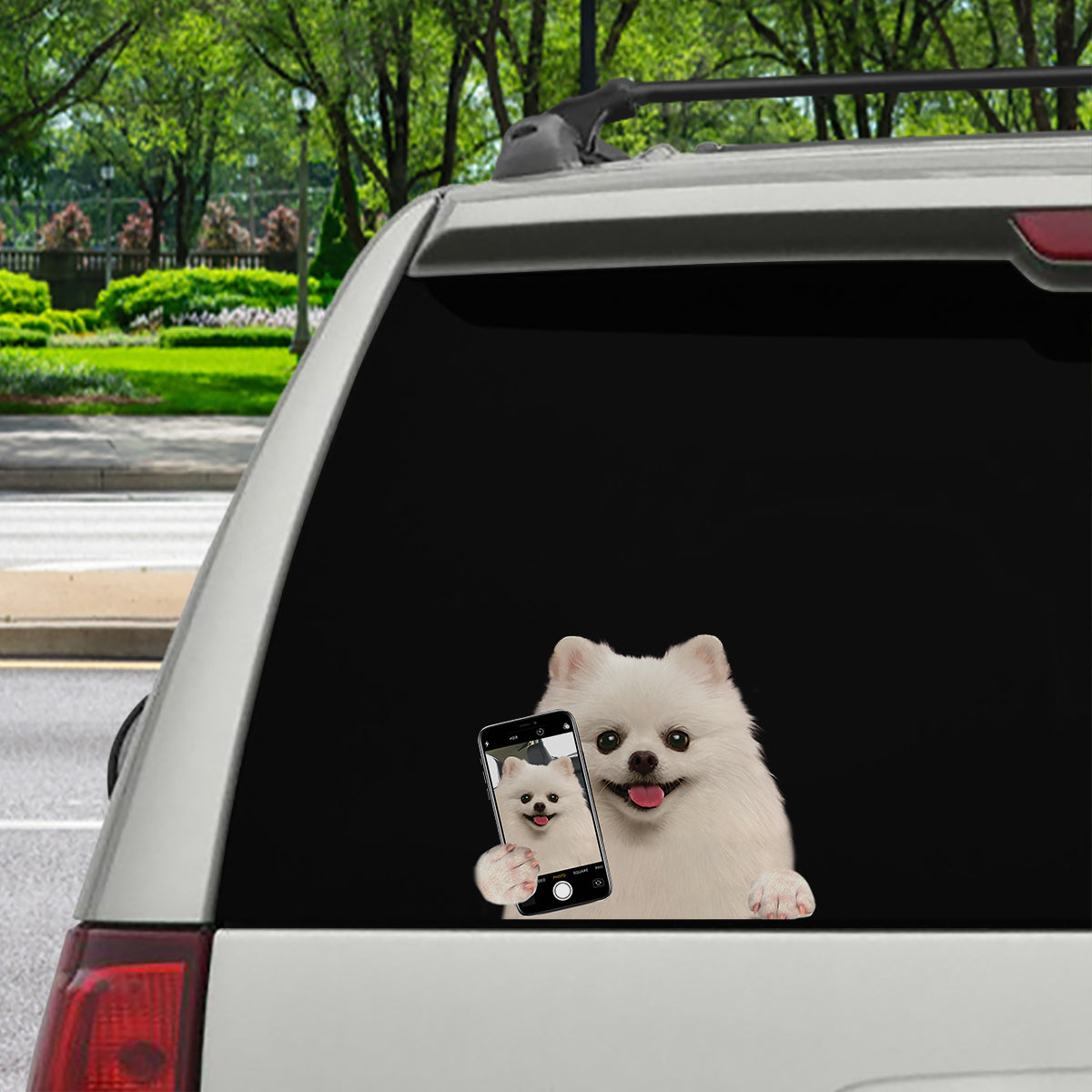 Do You Like My Selfie - Pomeranian Car/ Door/ Fridge/ Laptop Sticker V1