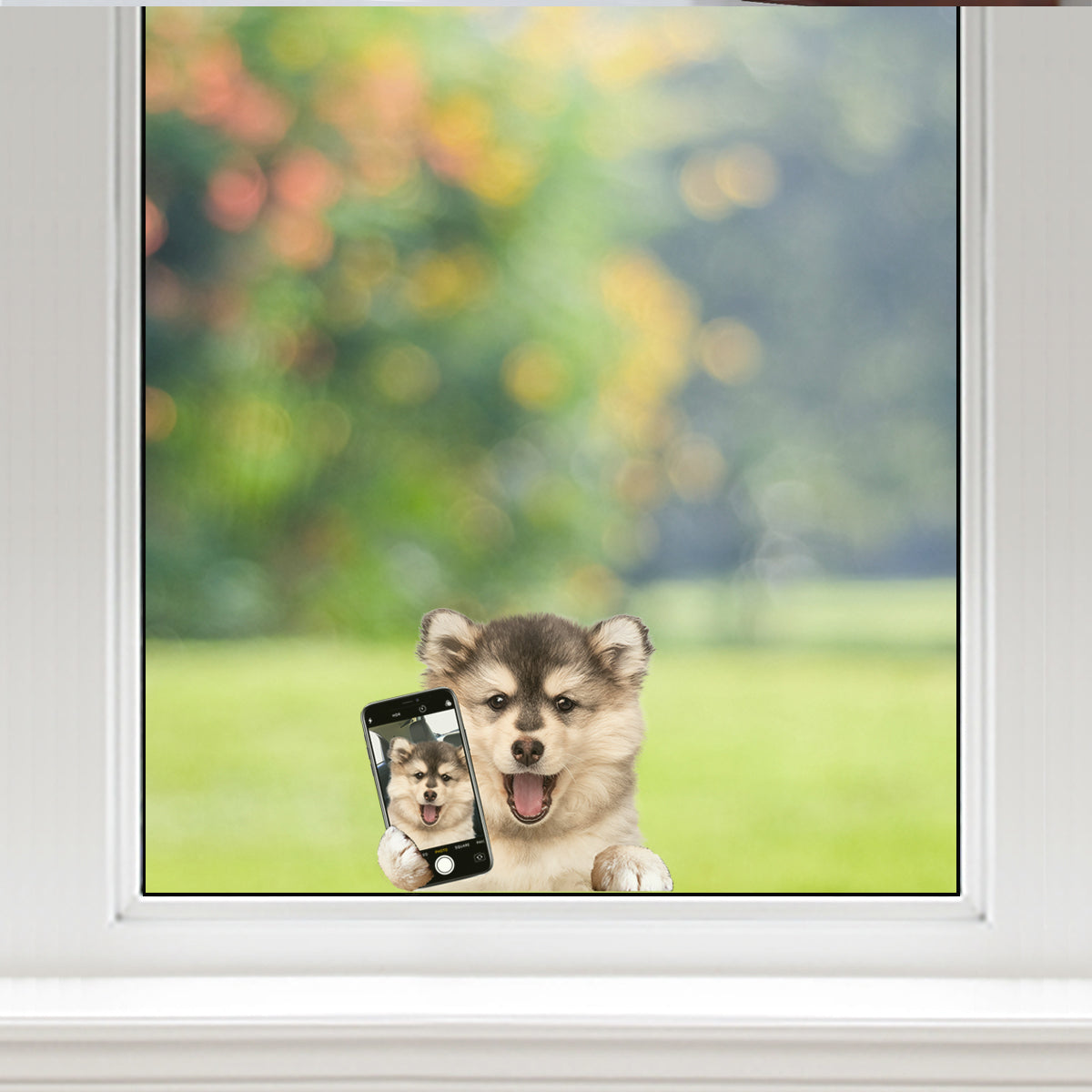 Do You Like My Selfie - Pomsky Car/ Door/ Fridge/ Laptop Sticker V1